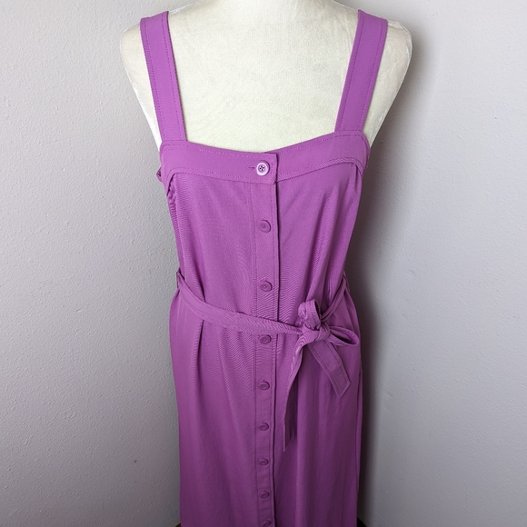 Everlane Dress Lilac Purple Button Front Picnic Dress Japanese GoWeave Size 8 - Picture 6 of 15